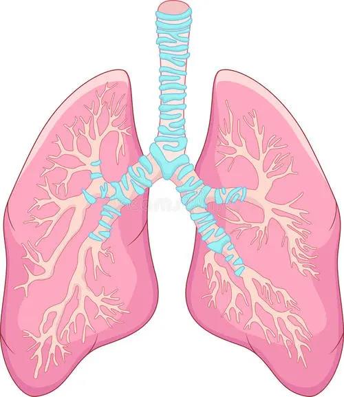 人类应高度重视和新冠肺炎一样的传染病 防治要靠这4点 健康资讯 翼猫科技媒体中心